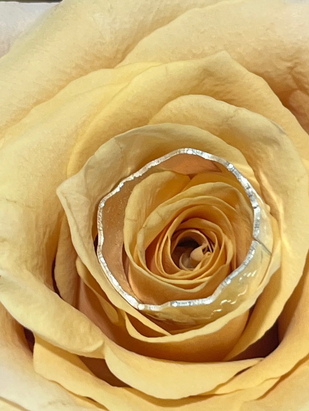 Sterling silver mountian ring