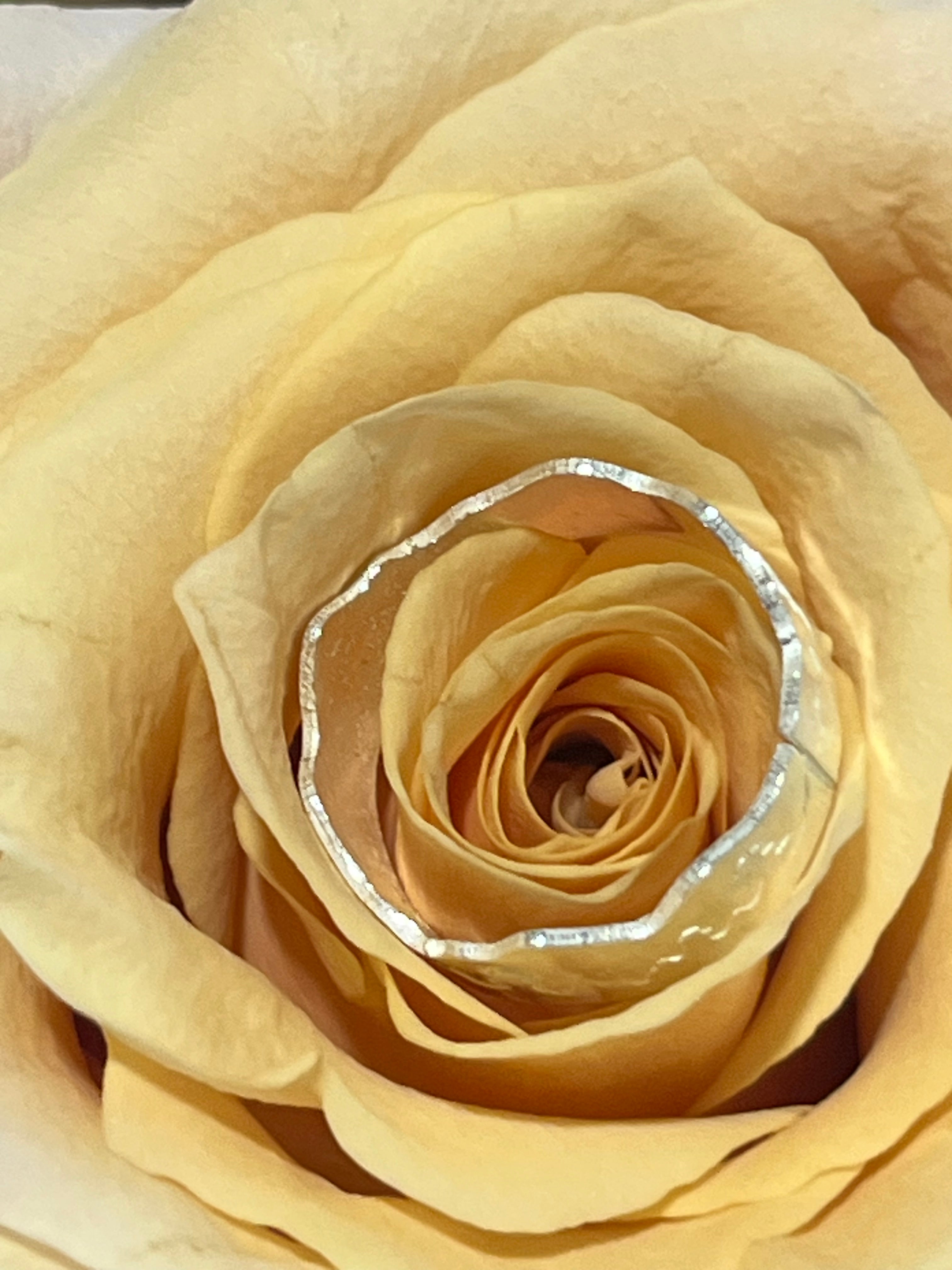 Sterling silver mountian ring