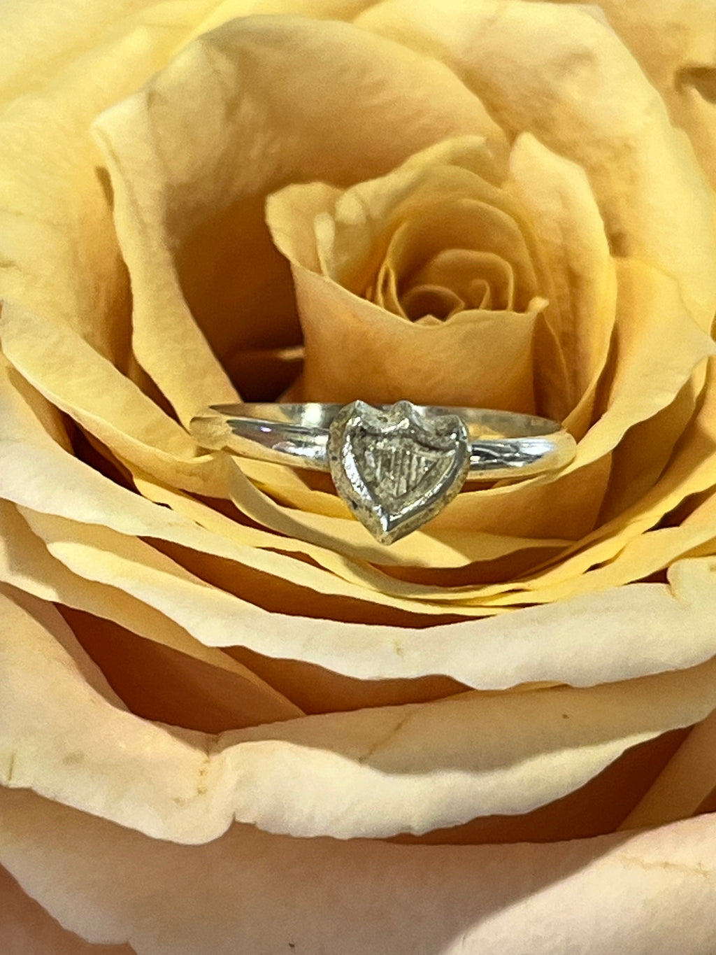 Sterling shield ring
