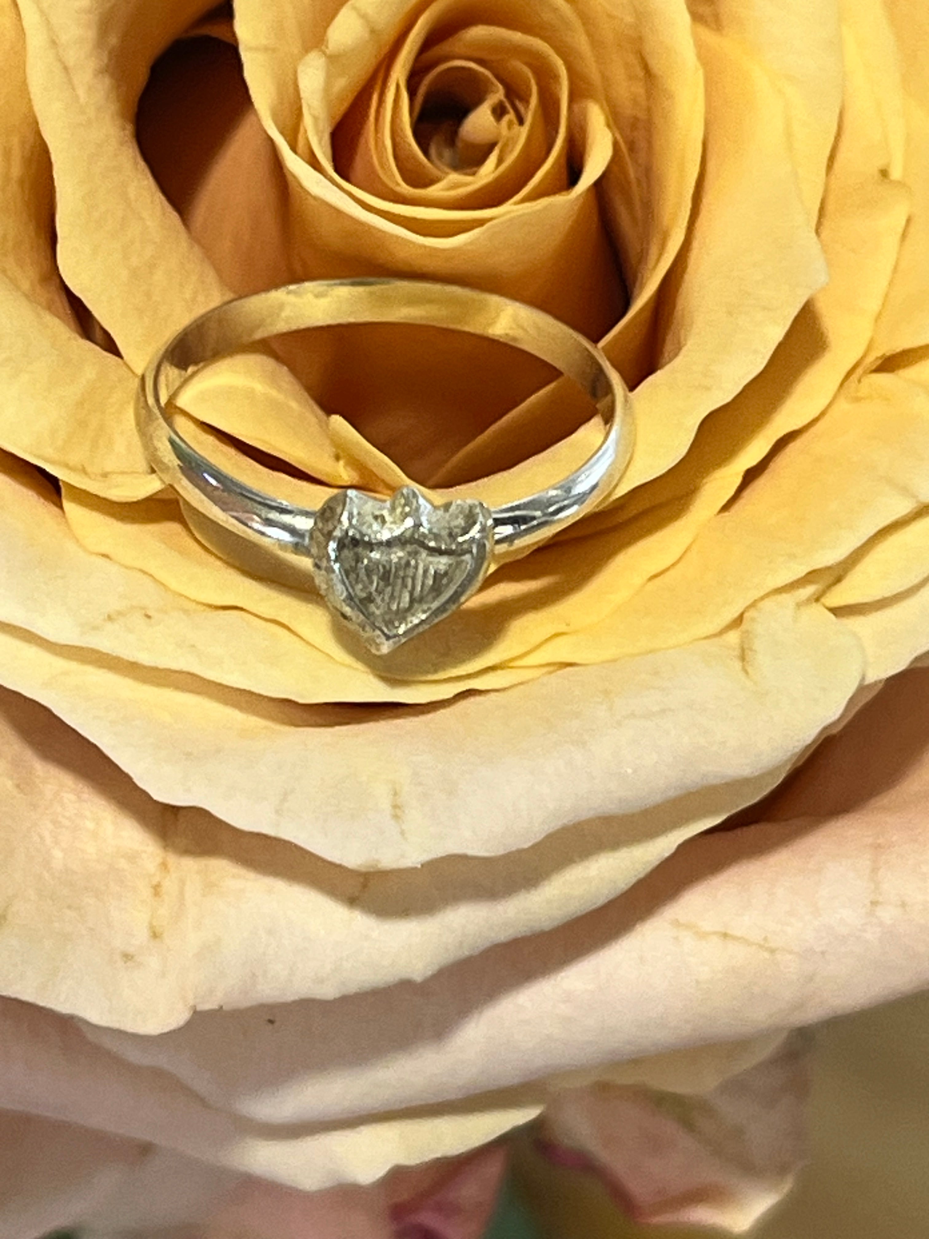 Sterling shield ring