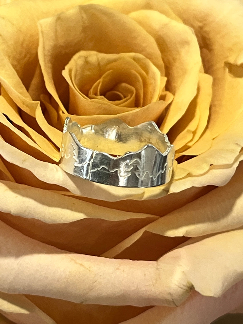 Sterling silver mountian ring