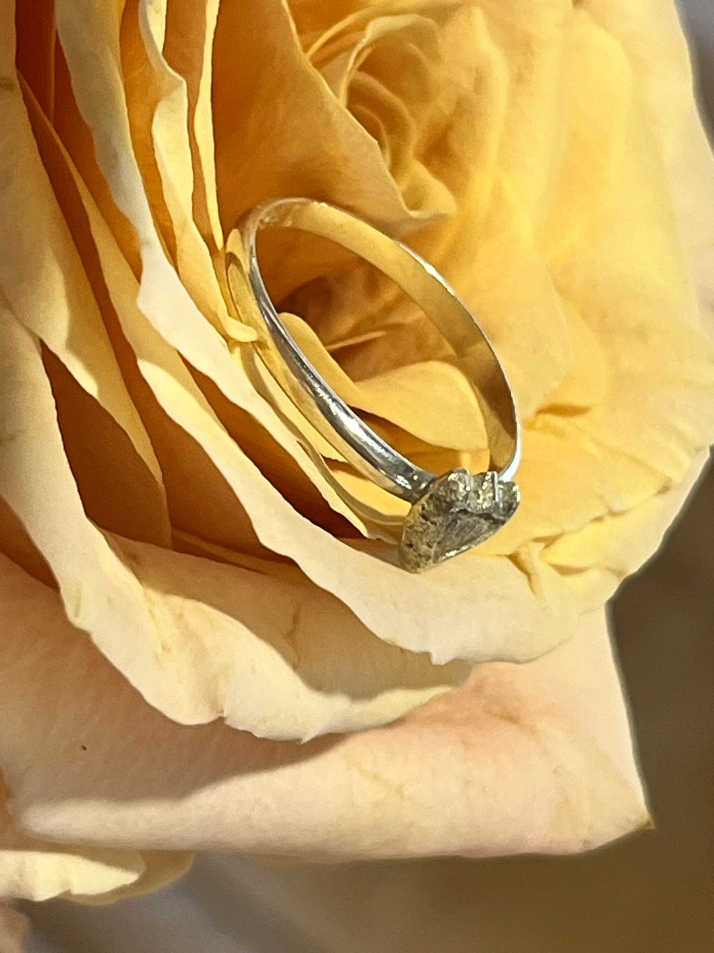 Sterling shield ring