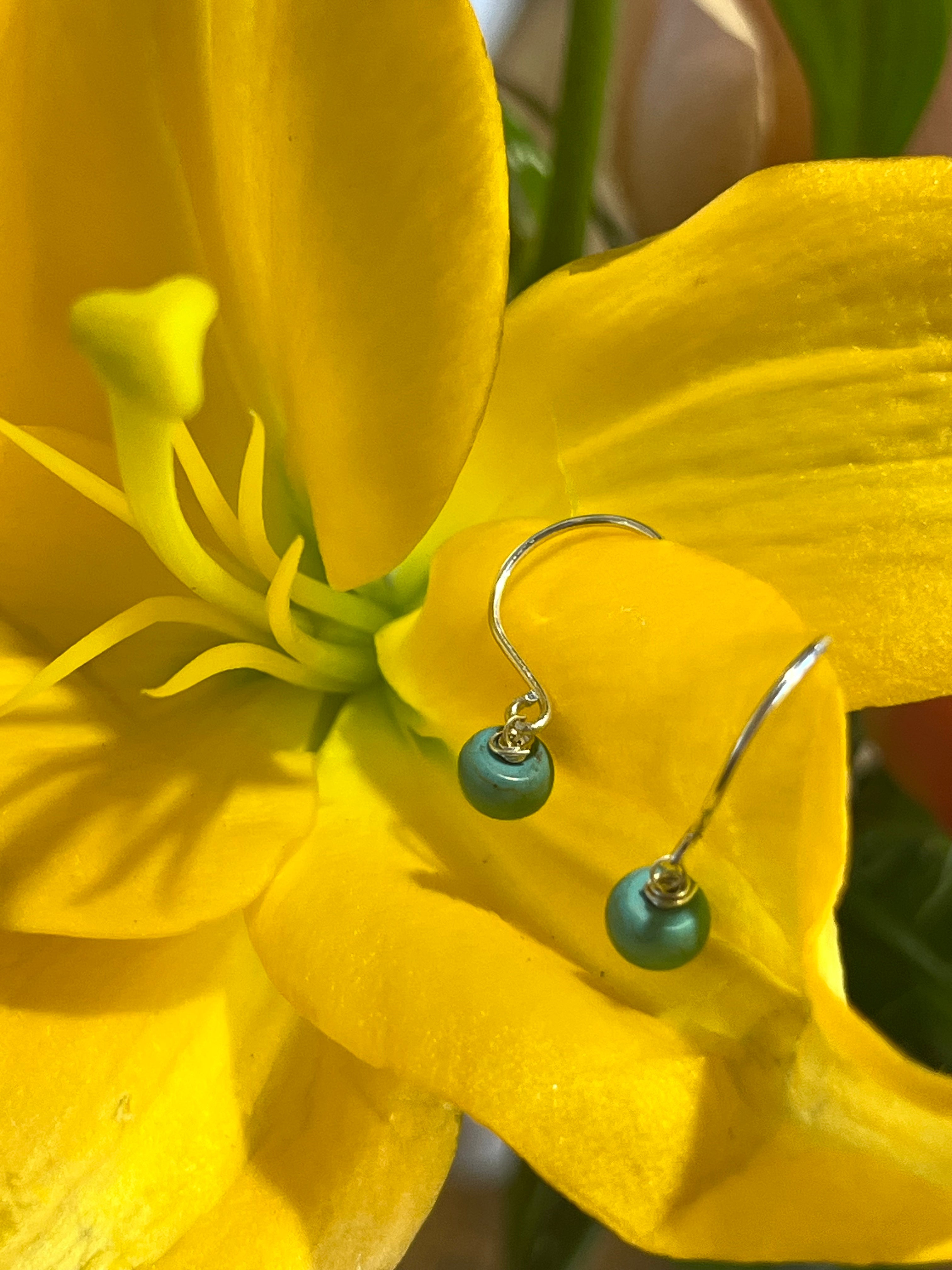 Turquoise and sterling silver earrings