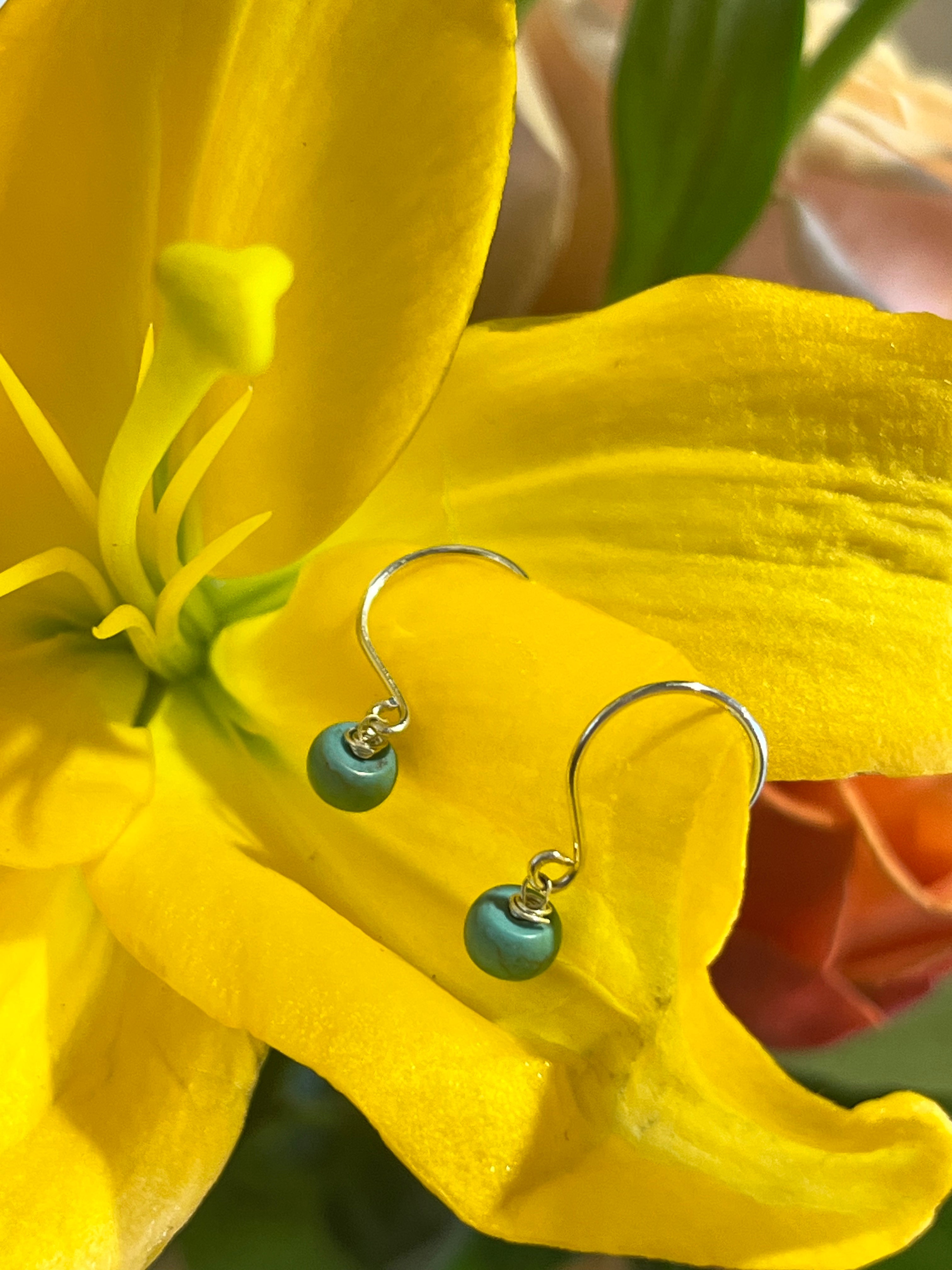 Turquoise and sterling silver earrings